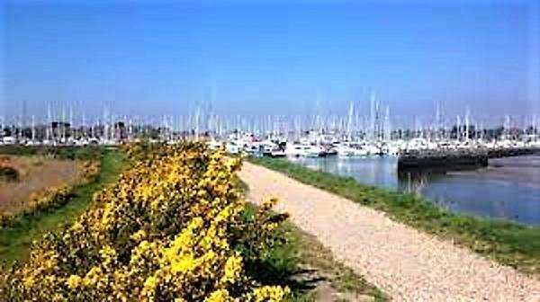 The Knightwood Oak A Luxury King Size En-Suite Space - Lymington New Forest With Totally Private Entrance - Key Box Entry - Free Parking & Private Outdoor Seating Area - Town ,Shops , Pubs & Solent Way Walking Distance & Complimentary Breakfast Items Экстерьер фото